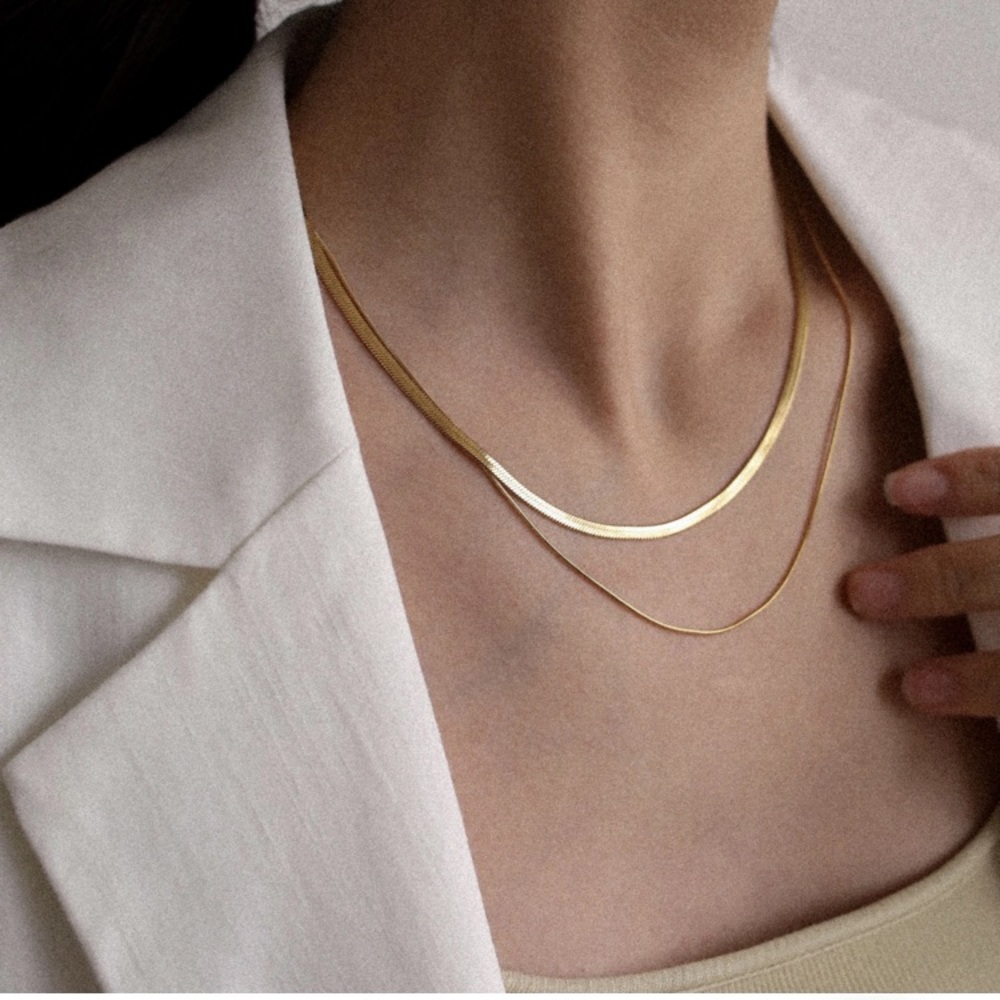 NWOT Shapes Studio Double Herringbone Necklace
